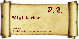 Pályi Norbert névjegykártya